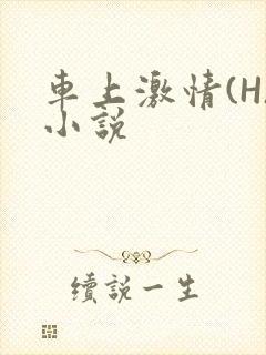 车上激情(H)小说