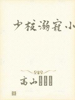 少校溺宠小小妻