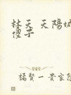 林天 天阳城 傻子