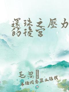 还珠之压力山大的后宫