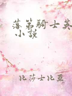 落第骑士英雄谭 小说