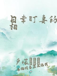 日常盯妻的小丞相