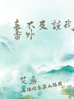 来不及说我爱你番外