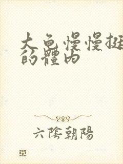 大龟慢慢挺进我的体内