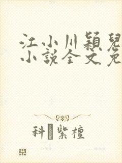 江小川颖儿穿越小说全文免费阅读