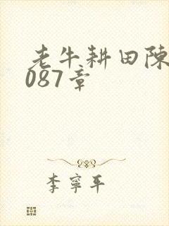 老牛耕田陈雪1087章