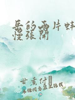 岳的两片蚌肉慢慢张开