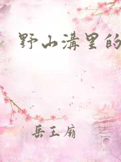 野山沟里的村庄