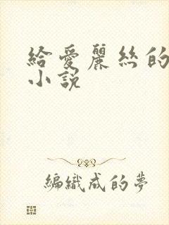 给爱丽丝的奇迹小说