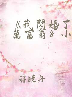 《我闪婚了个亿万富翁》小说