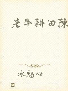 老牛耕田陈雪