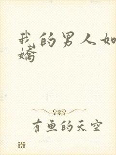 我的男人如此多娇