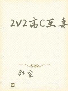 2V2高C互妻