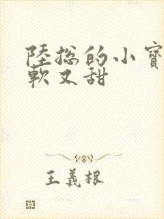 陆总的小宝贝又软又甜