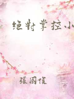 绝对掌控小说