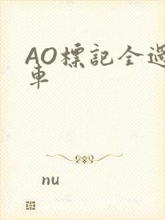 AO标记全过程车