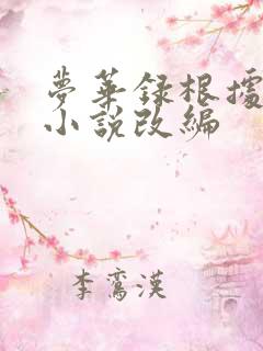 梦华录根据什么小说改编