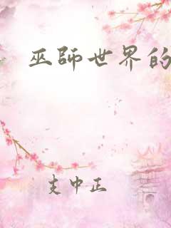 巫师世界的法师