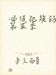 必须犯规的游戏第五季