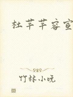 杜芊芊容宣和尚