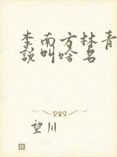 李南方林青青小说叫啥名