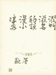 浪漫的滋润刘大勇小说名叫什么?