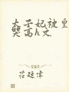 太子妃被皇上c哭高h文