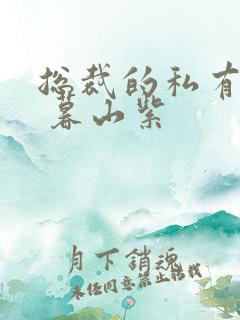 总裁的私有宝贝 暮山紫