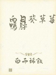 向日葵草莓丝瓜鸭脖