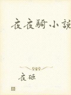 夜夜骑小说