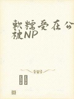软糯受在公交车被NP