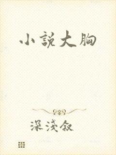 小说大胸