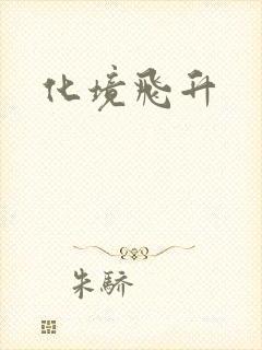 化境飞升