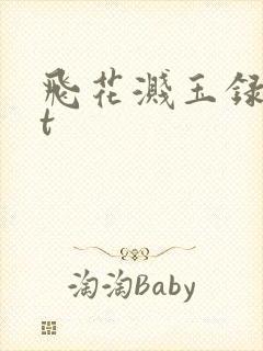 飞花溅玉录txt