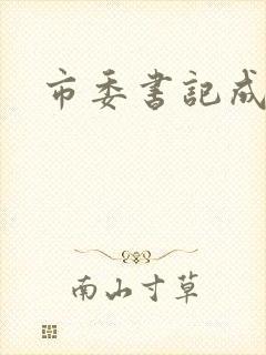 市委书记成长记