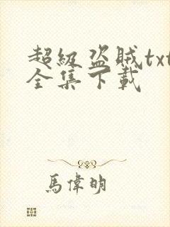 超级盗贼txt全集下载