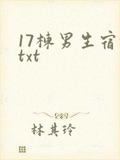 17栋男生宿舍txt