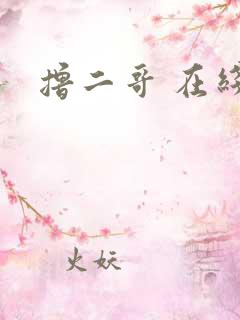 撸二哥 在线
