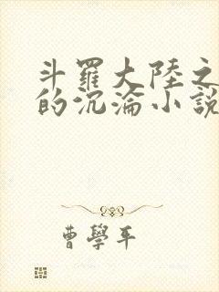 斗罗大陆之众女的沉沦小说