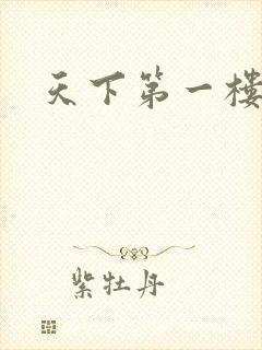 天下第一楼高清