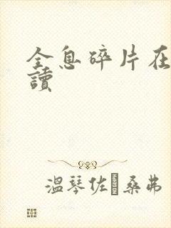 全息碎片在线阅读