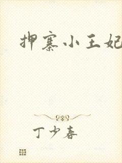 押寨小王妃
