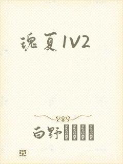 瑰夏1V2
