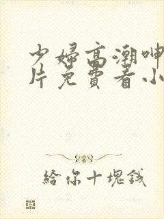 少妇高潮呻吟A片免费看小说