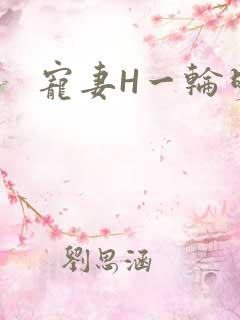 宠妻H一轮明月