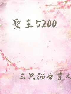 圣王5200