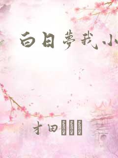 白日梦我小说