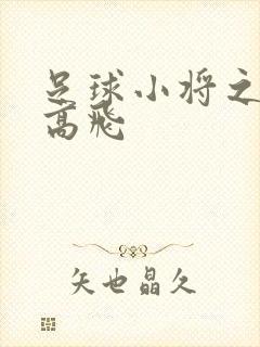 足球小将之展翅高飞