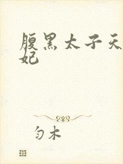 腹黑太子天降萌妃