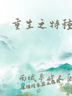 重生之特种军嫂